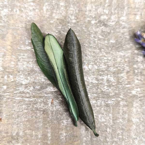 bomboniera cresima tisana